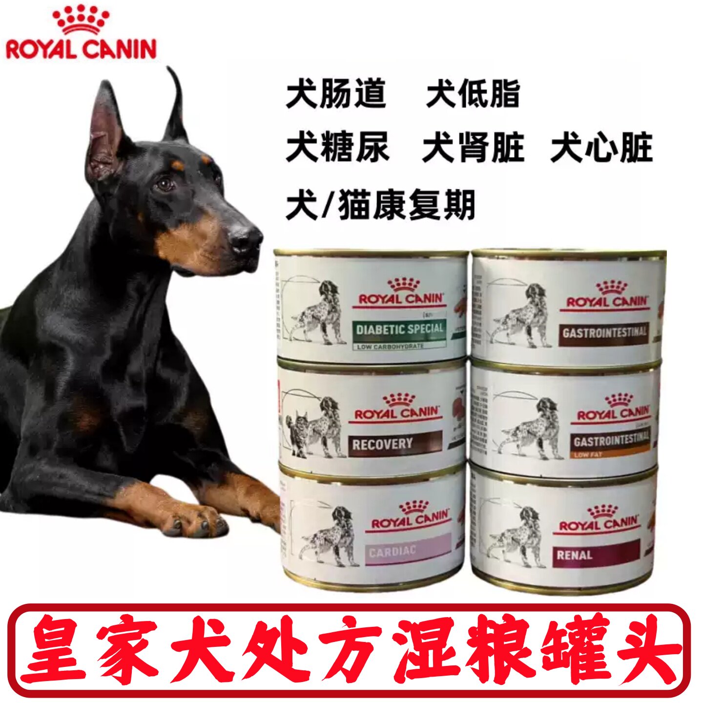 皇家肠道心脏低脂糖尿肾脏康复