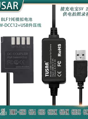 适马BP-61假电池适用sdq SDQH微单松下GH5S DC-G9LGK接充电宝USB