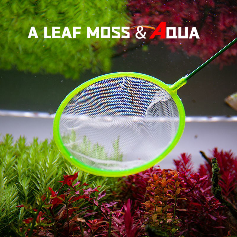 鱼捞小鱼缸网兜家用手抄网小渔捞圆形手抄网金鱼观赏鱼大小号网捞