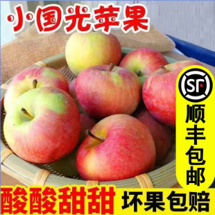 东北国光苹果新鲜正宗特产农家青苹果孕妇开胃水果酸甜5斤老品种
