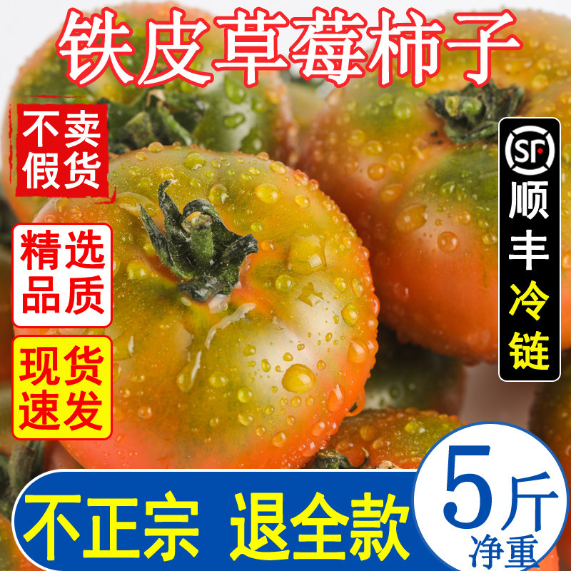 丹东草莓柿子西红柿新鲜自然熟铁皮柿子 5斤盘锦碱地生吃水果番茄