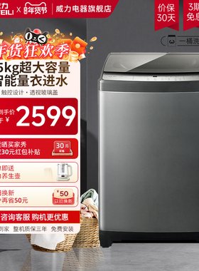 威力15公斤全自动洗衣机家用大容量波轮商用租房酒店XQB150-2119X