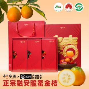 [春节礼盒]桔乡里大桔年3斤3/4/5号果脆蜜金桔第三代融安金桔顺丰