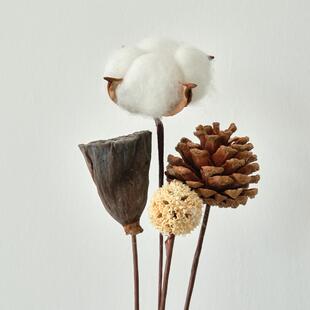 手工干花莲花莲蓬 干果松果路路通 佛系装饰禅意花束手工制作摆件