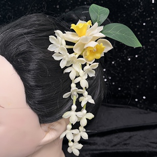 傣族头饰傣族头饰花珍珠发带刘海夹后脑勺盘发超仙女演出水仙配饰