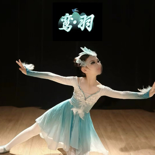 鸾羽雀之羽孔雀舞演出服少儿舞蹈剧目表演羽毛头饰同款羽毛头饰