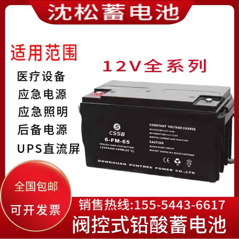 CSSB深松蓄电池6-FM/12V7A9A14A17A20A24A38A65A电梯/UPS消防主机
