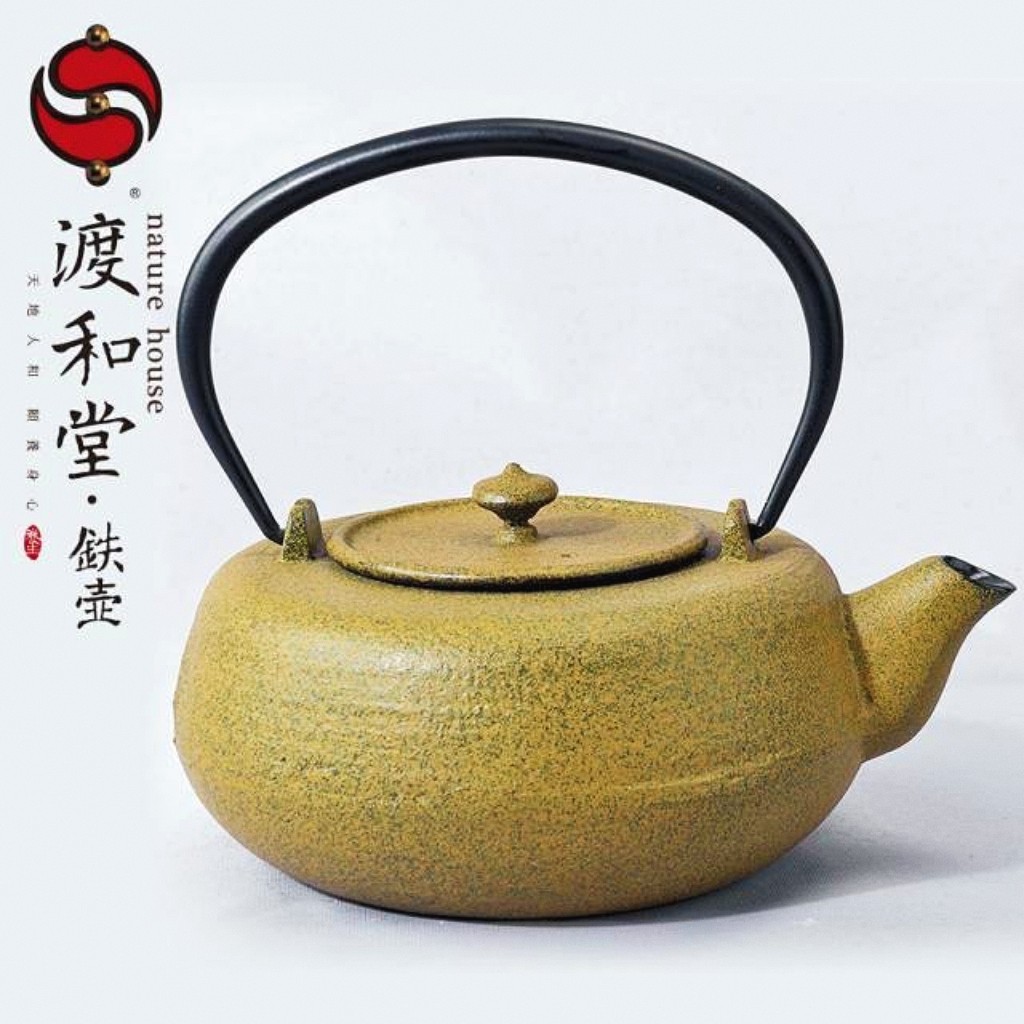 渡和堂铁壶雾化珐琅瓷煮茶壶