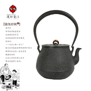 渡和堂以人为镜铁壶植柠钝化内壁植物养生铁壶日本铁壶