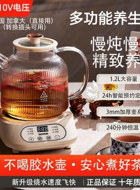 跨境110V电压养生壶小型玻璃煮茶器烧水壶花茶壶台湾美国加拿大