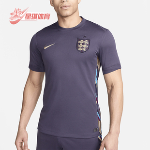 足球球衣FJ4272 Nike 573 圆领透气舒适夏季 FIT男士 耐克正品 Dri