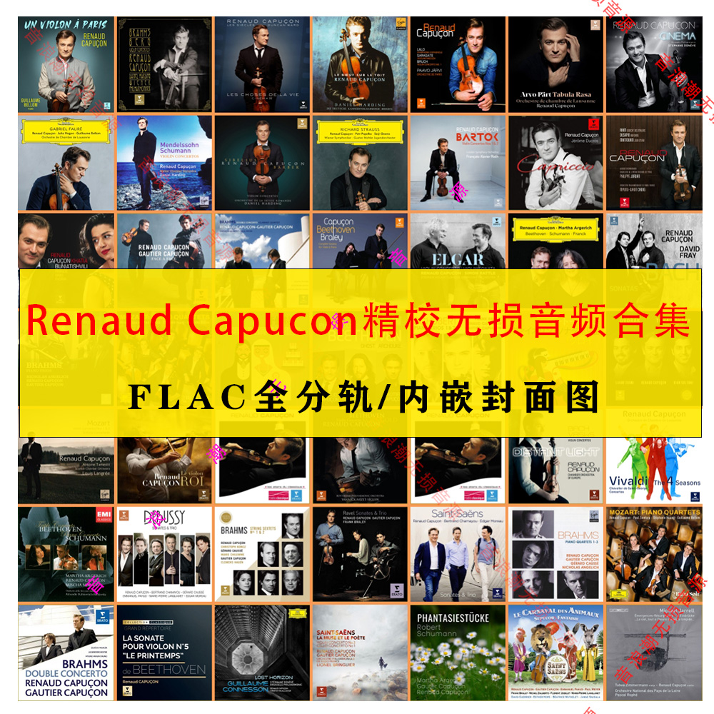 雷诺 卡皮桑 Renaud Capucon 小提琴家精校合集24+16无损音源FLAC