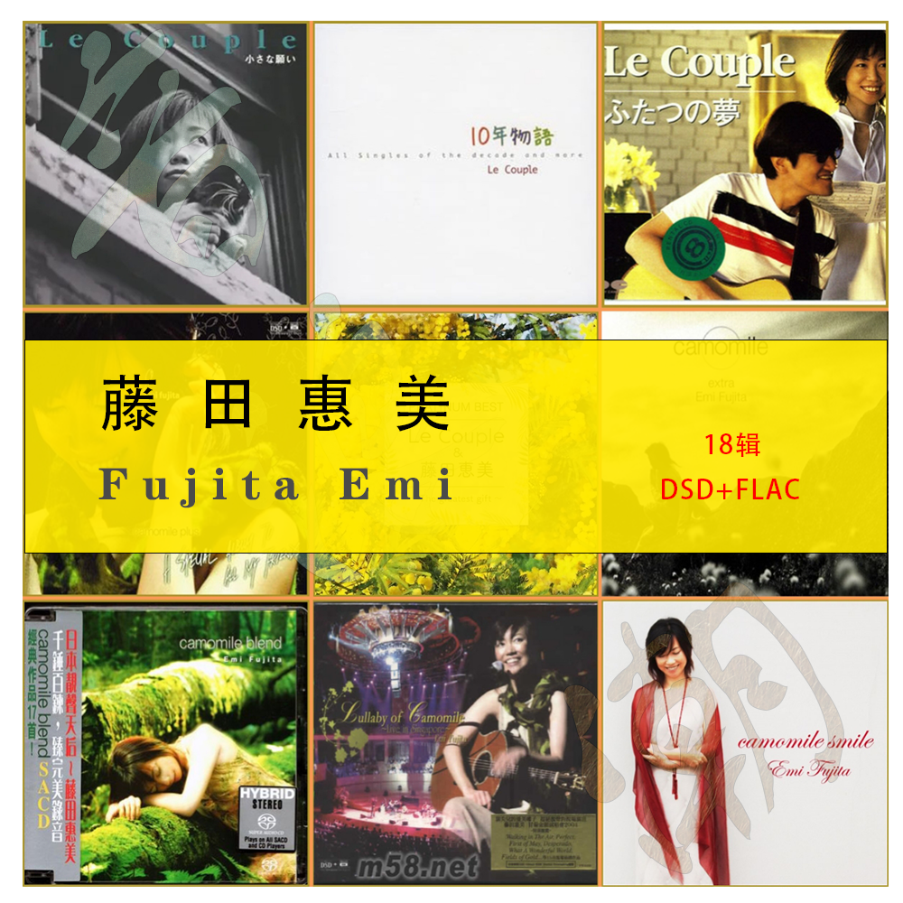 藤田惠美【音浪潮日语无损】精致精校18辑 分轨FLAC+DSD收藏版