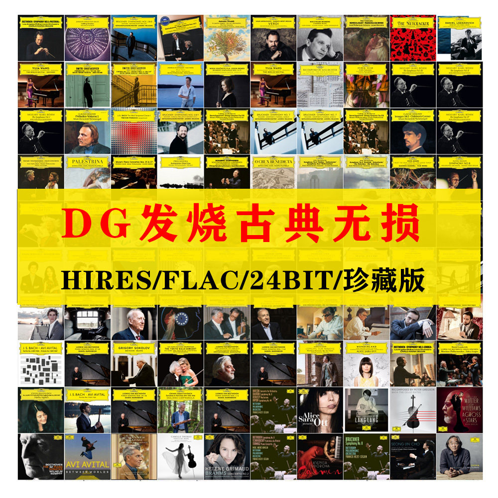 DG古典音乐HIRES合集FLAC发烧母带24Bit无损526辑珍藏版