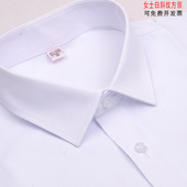 暗条纹OL工装 女士纯白色斜纹方领职业衬衫 长袖 衬衣银行工作服寸衣