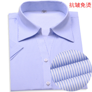 女士短袖白底蓝色细条纹职业衬衫银行工装V领大码工作服衬衣寸衣