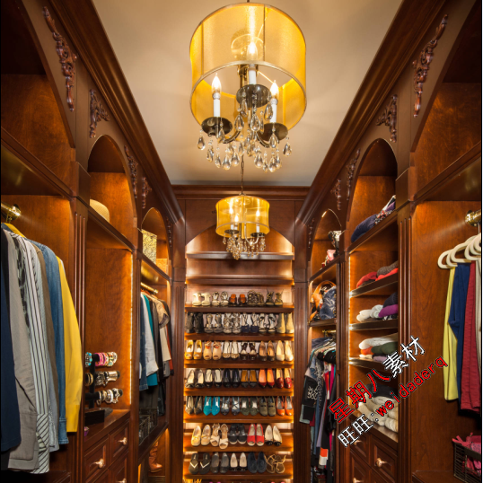 z54 衣帽间试衣间领储物室衣柜鞋柜收纳柜设计高清照片实木柜子