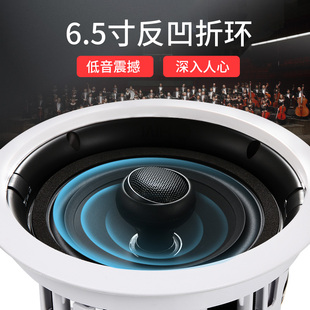 Hivi C吸顶喇叭背景音乐同轴音箱会议天花吊顶音响套装 VX6 惠威