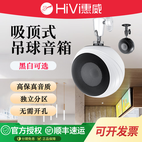 惠威吸顶吊球音响HiFi背景音乐