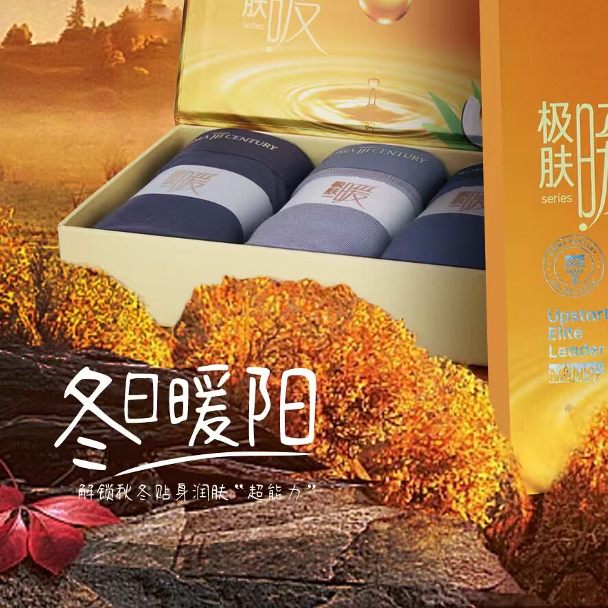 3条装罗马世纪极肤暖1088男士平角裤莫代尔中腰无痕大码透气