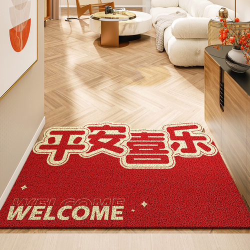 入户门地垫门口脚垫家用地毯