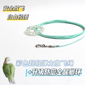 鹦鹉放飞绳遛鸟神器护腿不伤脚