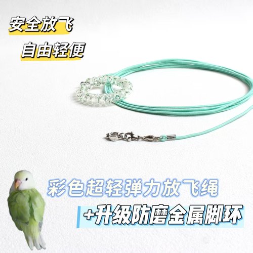 鹦鹉放飞绳遛鸟神器护腿不伤脚