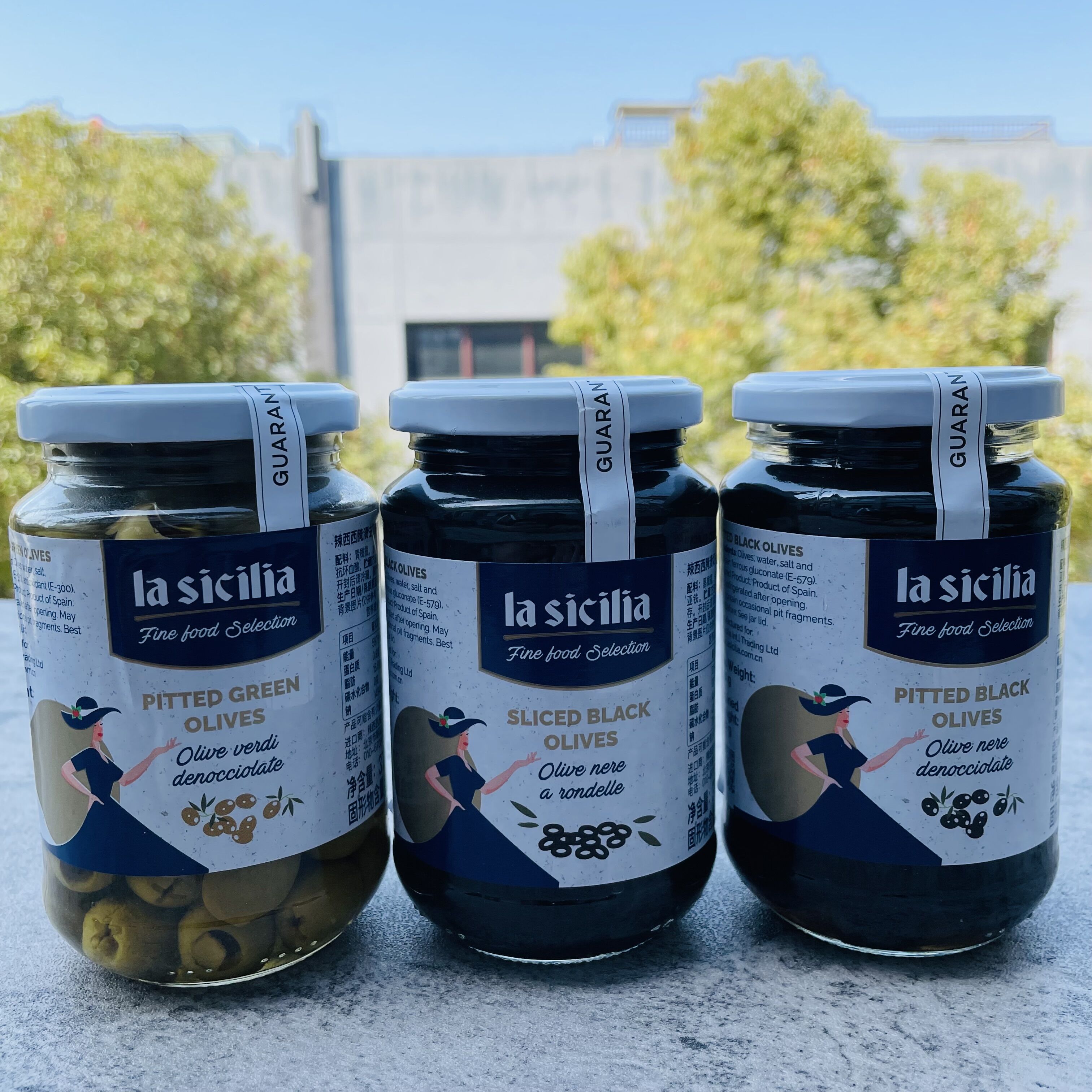 olives西班牙进口辣西西腌制去核青/黑橄榄370g做披萨沙拉零食