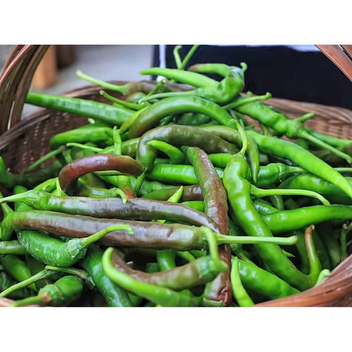 山里农家菜 湘西高山农家自种辣椒 薄皮辣椒香辣微辣 现摘现发