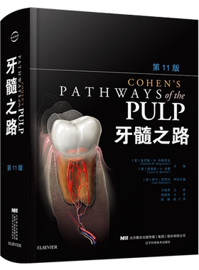 牙髓之路第十一版医学类专业书籍牙髓治疗并发症的处理第11版口腔种植正版现货
