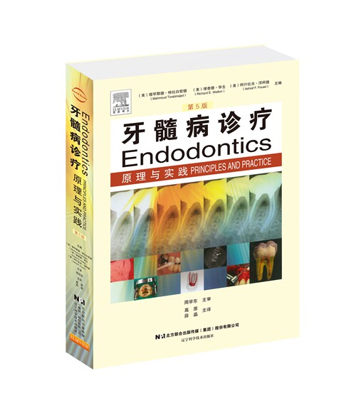 微瑕处理不退不换 牙髓病诊疗原理与实践（第5版) 辽宁科学技术出版社口腔医学图谱现代根管治疗技术