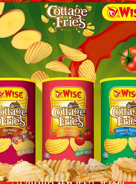 马来西亚Wise威斯比番茄酱风味田园薯片100g罐装港式厚切薯片零食