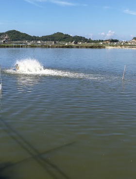 水产养殖水质检测仪,水质快速检测,COD氨氮亚硝酸盐检测