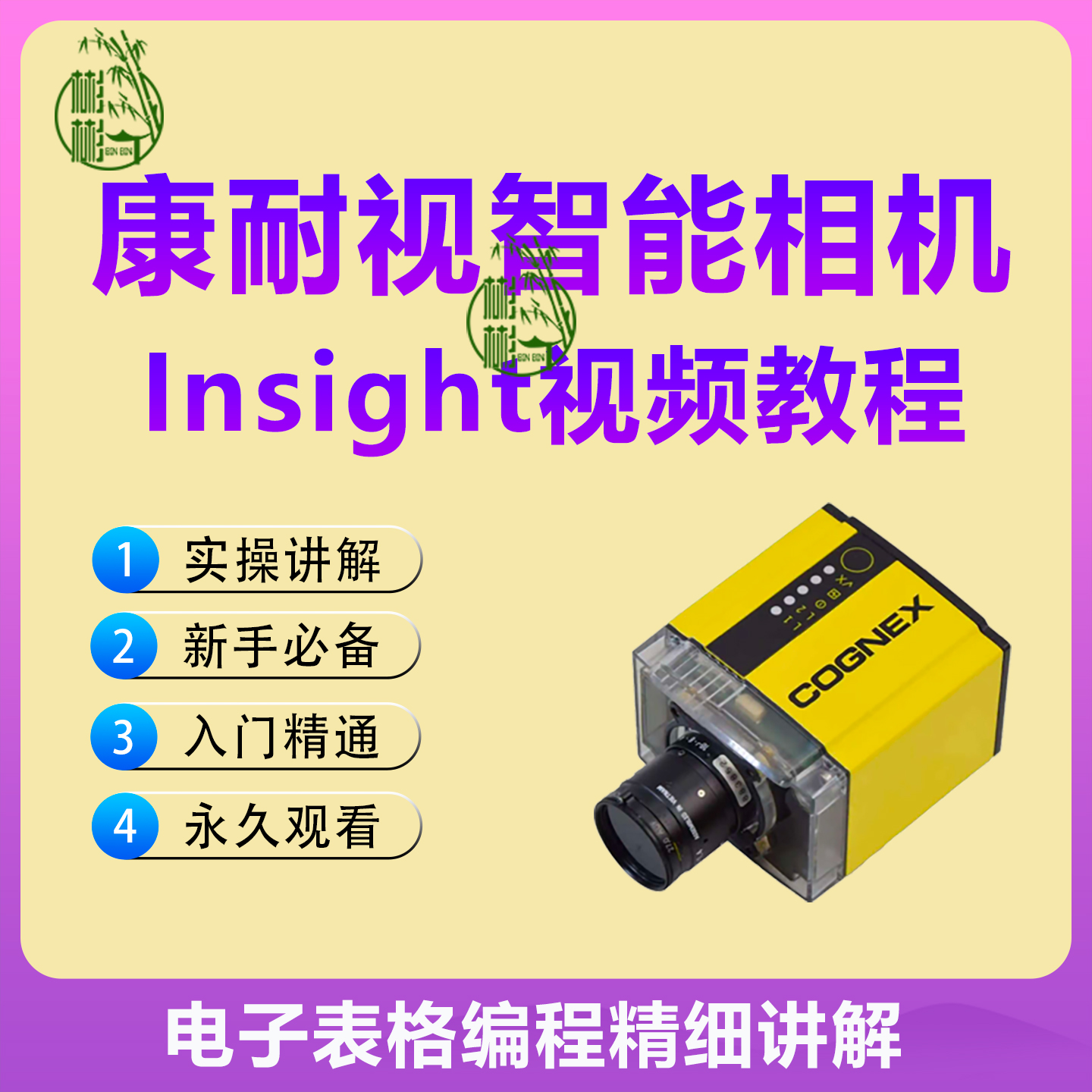 康耐视视觉相机视频教程 Insight软件使用视频教学电子表格编程