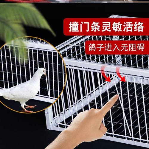 捕鸟笼价格 捕鸟笼图片 星期三