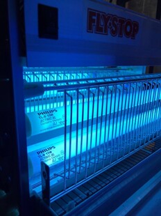 亨得利灭蝇灯飞利浦诱蚊蝇灯管TL-D15W配件适用WGS-30 WGS-40系列