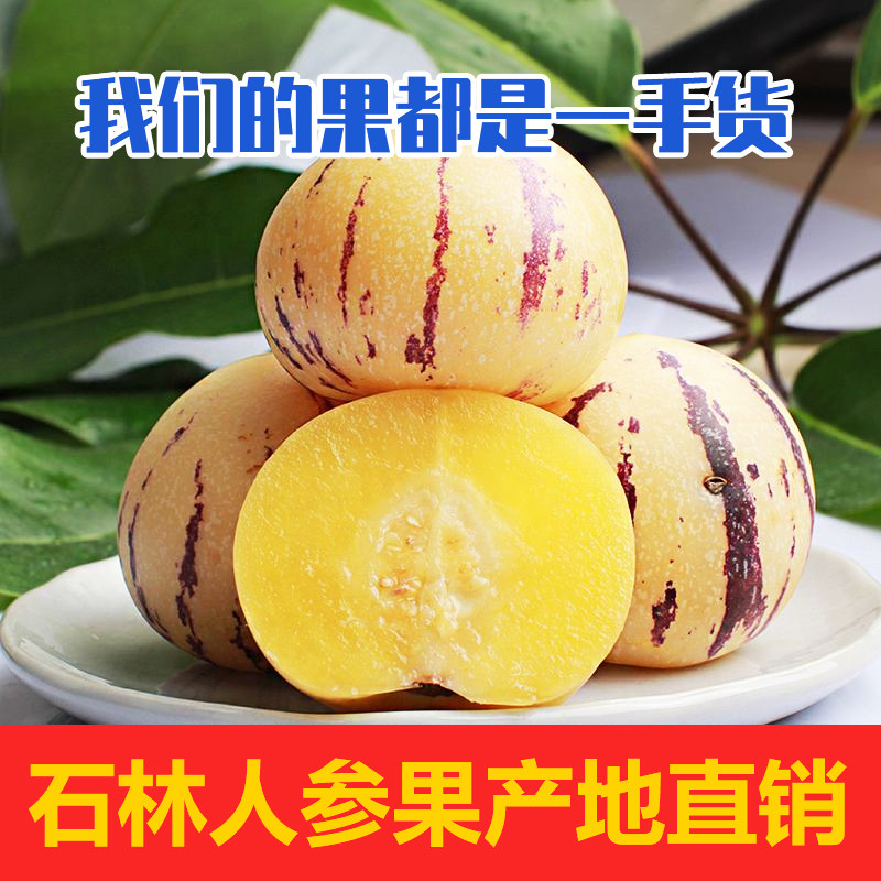 云南石林树熟人参果奶香应季树上熟黄心食用农产品当季新鲜水果