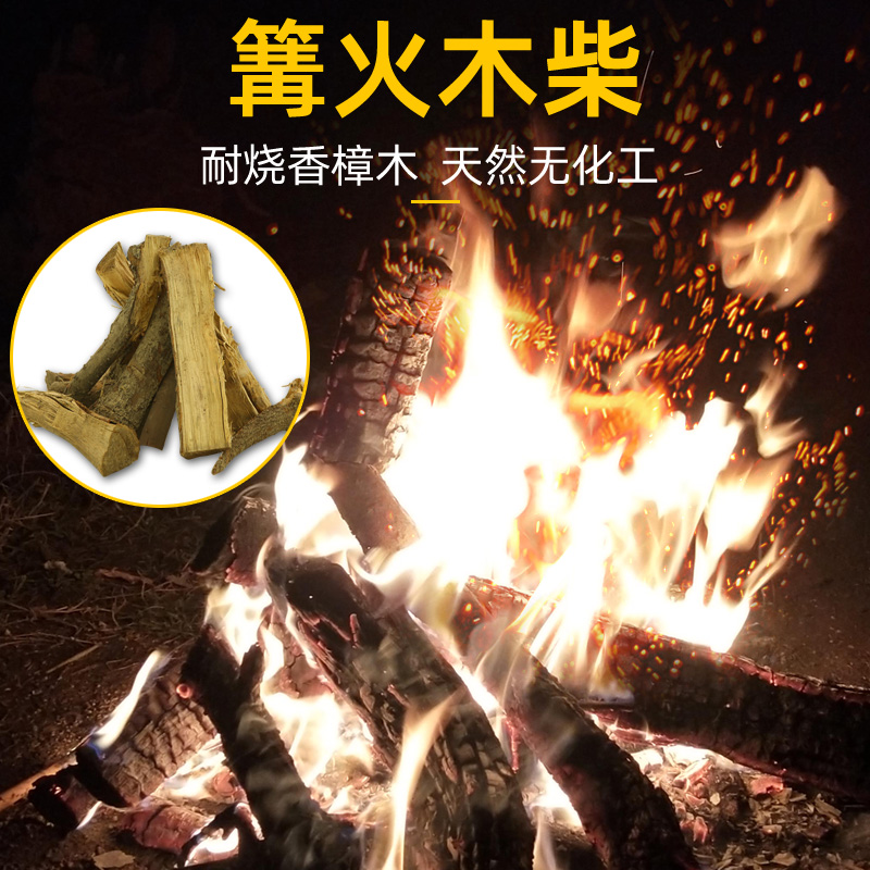 香樟木干柴野营露营户外