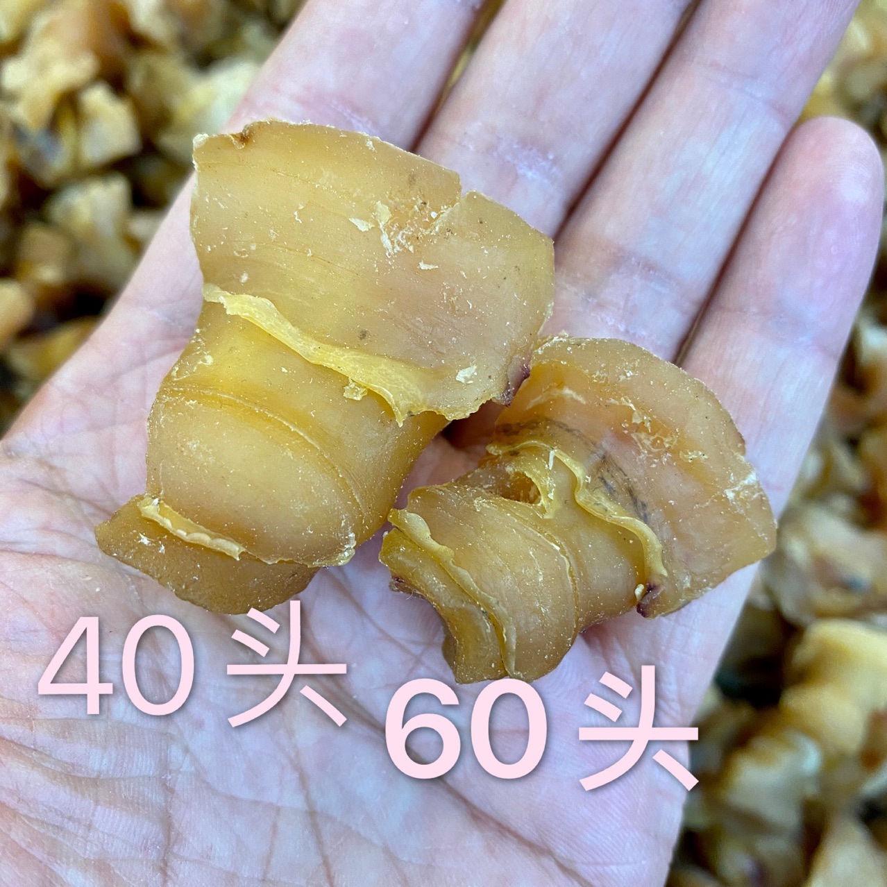 红螺头海螺肉干酒店食材海鲜水产干货海产品煲汤材料约40头/500g