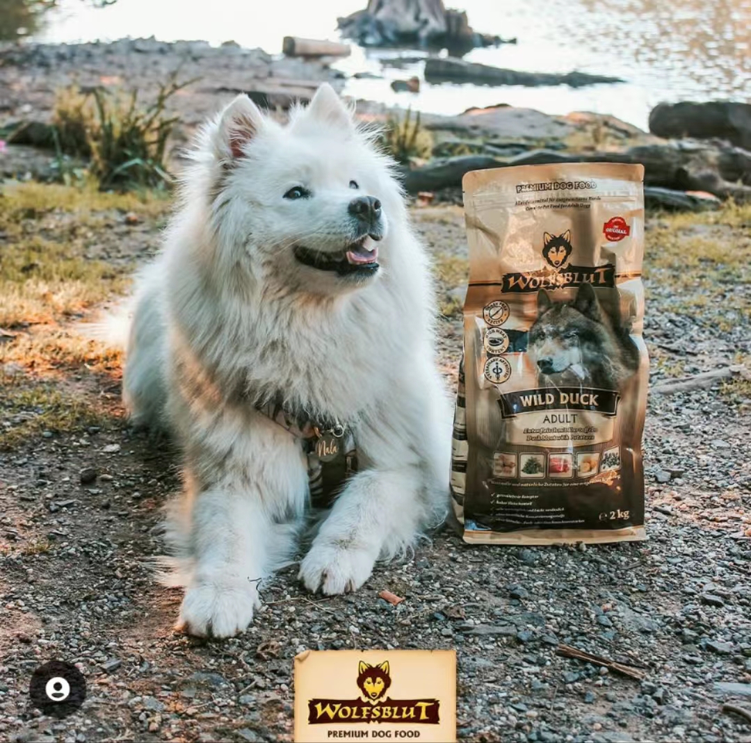 宠物星球｜德国Wolfsblut狼族血缘 狼血天然低温冷压低敏低脂狗粮