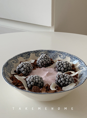 takemehome中古风蓝色复古酸奶麦片碗沙拉汤碗饭碗田园牧歌绘画碗