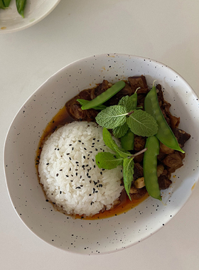 日式泼墨碗咖喱饭意面专用盘子异形盘子高级感不规则汤盘ins深盘