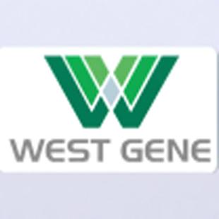 离析酶R-10 Macerozyme R-10