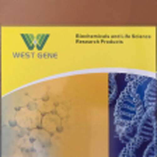 (WESTGENE)直接扩增试剂盒