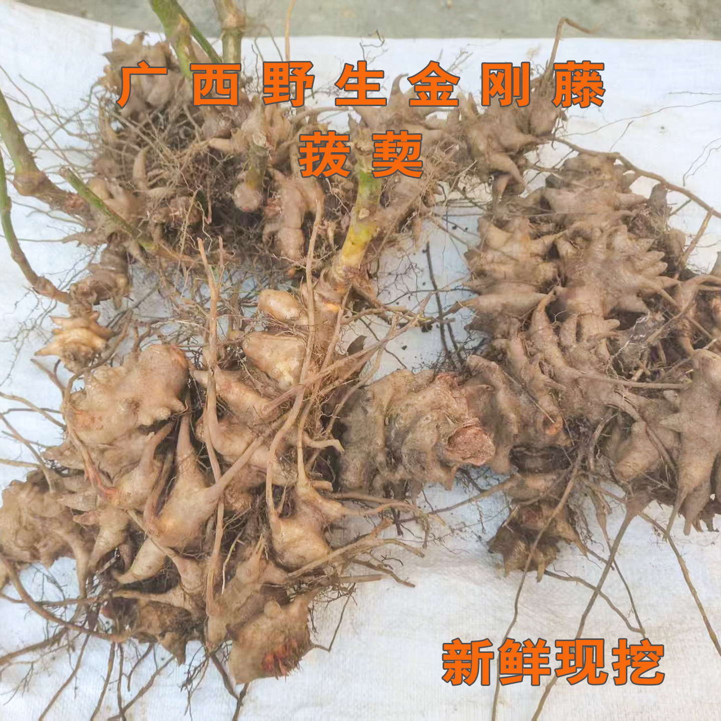 广西深山野生金刚藤够老够大