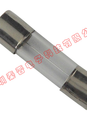 集电通保险管5*20陶瓷保险管JFG5T1600N24  带引线250V