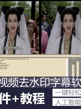 视频去字幕水印软件AI人工智能去马赛克图片处理去水印去文字软件