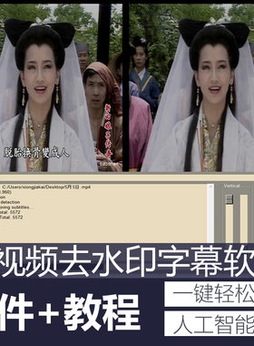 视频去字幕水印软件AI人工智能去马赛克图片处理去水印去文字软件