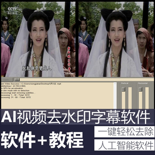 视频去字幕水印软件AI人工智能去马赛克图片处理去水印去文字软件