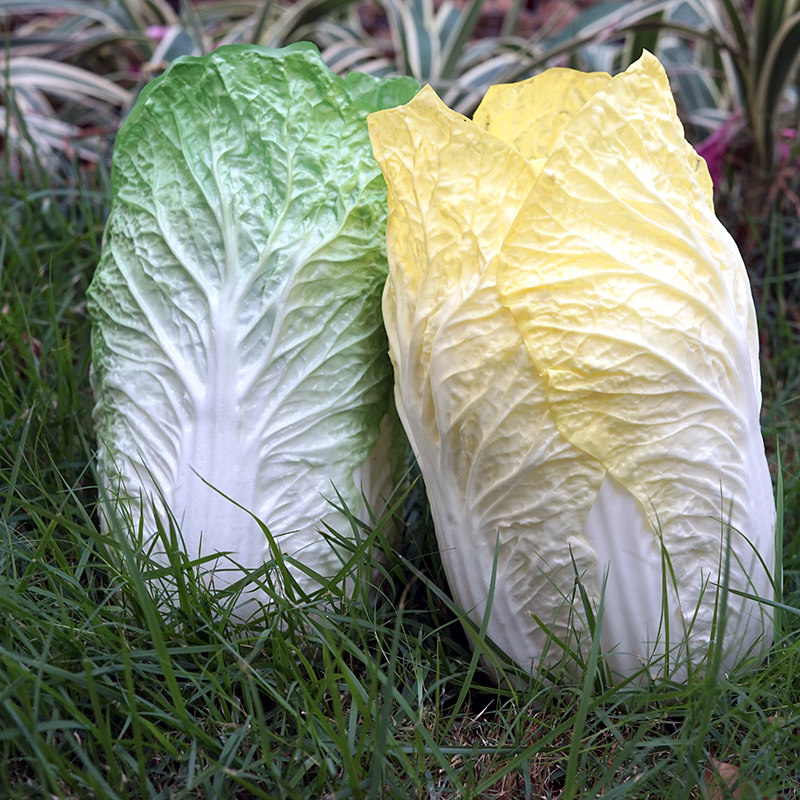 仿真水果蔬菜娃娃菜长白菜大白菜模型道具摄影厨房店铺软装摆设件